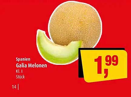 Spanien Galia Melonen Kl. I Stück