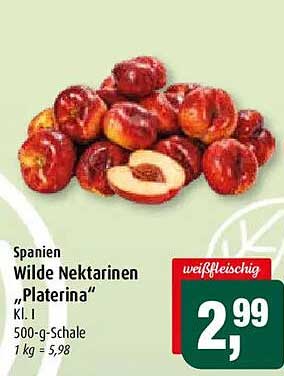 Spanien Wilde Nektarinen „Platerina“ Kl. I 500-g-Schale