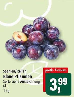 Spanien/Italien Blaue Pflaumen