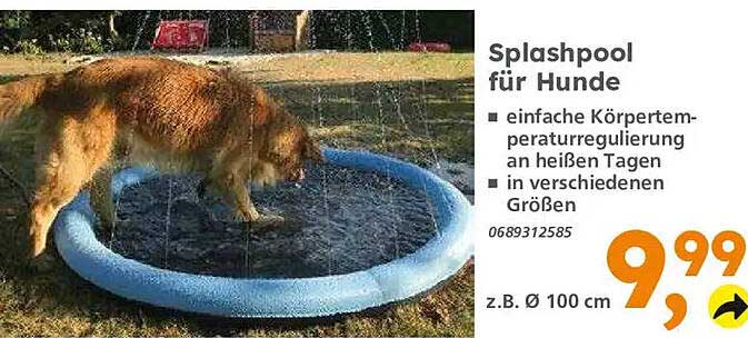 Splashpool für Hunde