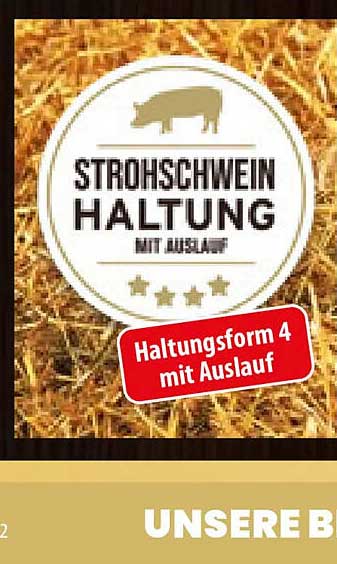 STROHSCHWEIN HALTUNG MIT AUSLAUF