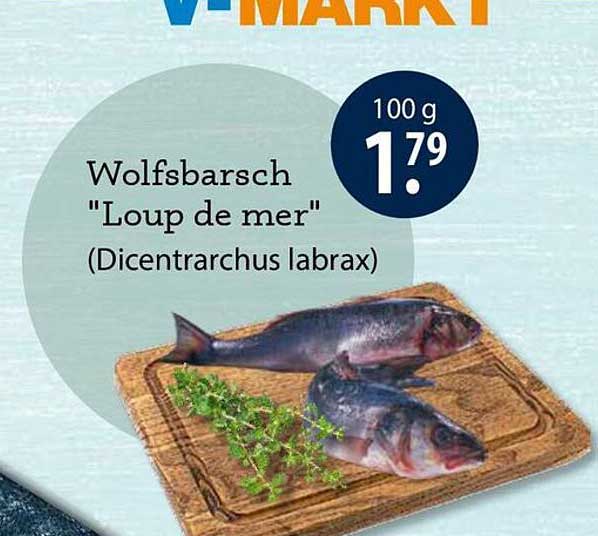 Wolfsbarsch "Loup de mer" (Dicentrarchus labrax)