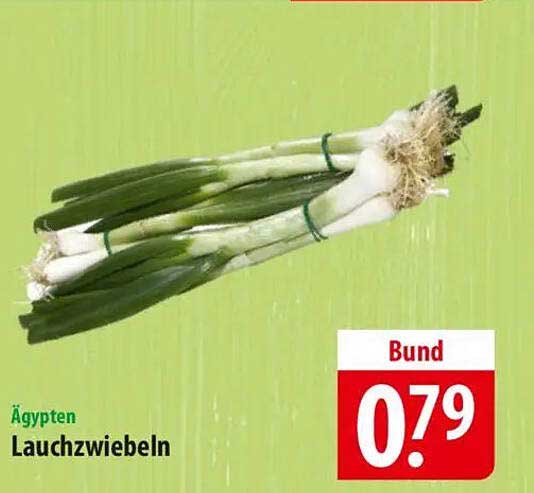 Ägyptische Lauchzwiebeln - frisch und knackig im Angebot