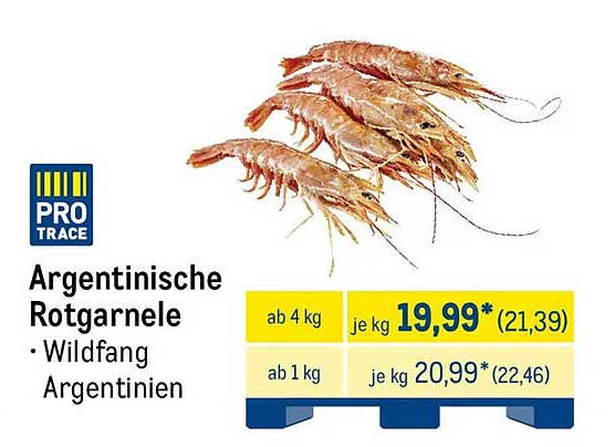 Argentinische Rotgarnele - Wildfang aus Argentinien