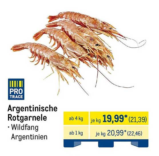 Argentinische Rotgarnelen - Wildfang aus Argentinien