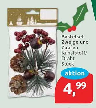 Bastelset Zweige und Zapfen Kunststoff/Draht Stück