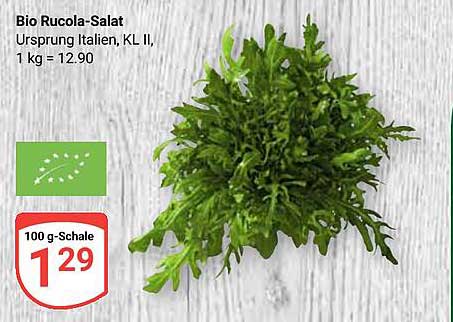 Bio Rucola-Salat