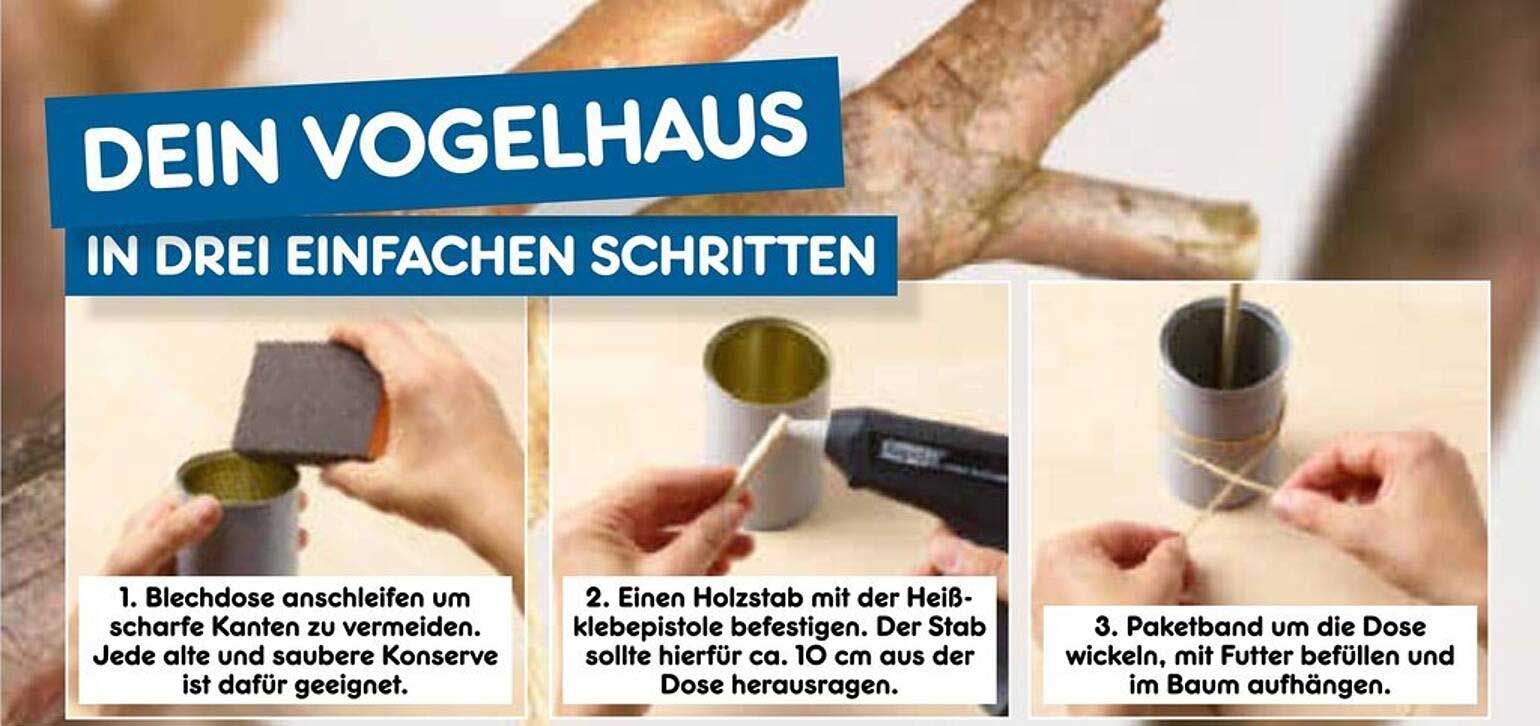DEIN VOGELHAUS IN DRITTEN EINZELNEN SCHRITTEN