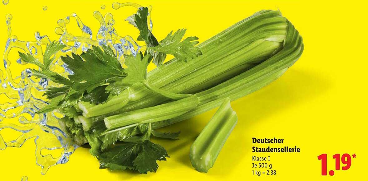 Deutscher StaudenSellerie