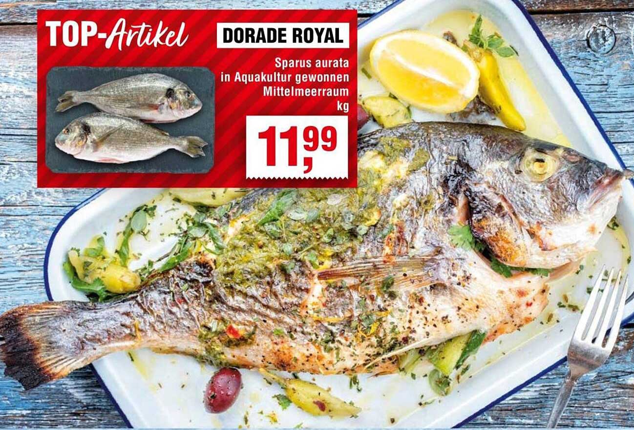 DORADE ROYAL