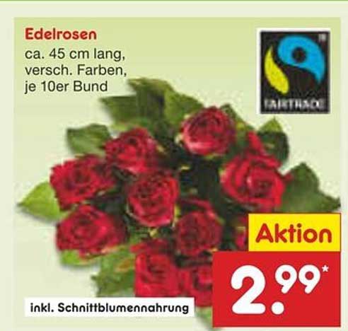 Edelrosen – Frische und Schönheit für Ihr Zuhause