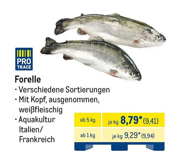 Forelle - Verschiedene Sortierungen, mit Kopf, ausgenommen, weißfleischig
