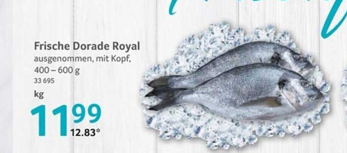 Frische Dorade Royal, ausgenommen, mit Kopf, 400 – 600 g