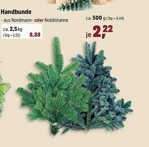Handbunde aus Nordmann- oder Nobelstanne