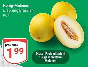 Honig-Melonen - Ursprung Brasilien, KL I