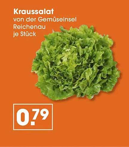 Kraussalat von der Gemüseinsel Reichenau je Stück