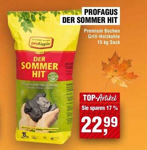 PROFAGUS DER SOMMER HIT - Premium Buchen Grill-Holzkohle 15 kg Sack