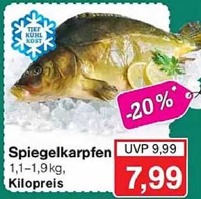 Spiegelkarpfen 1,1–1,9 kg