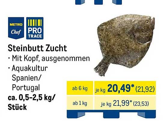 Steinbutt Zucht - Mit Kopf, ausgenommen