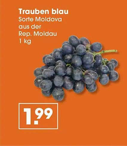 Trauben blau - Sorte Moldova aus der Rep. Moldau 1 kg