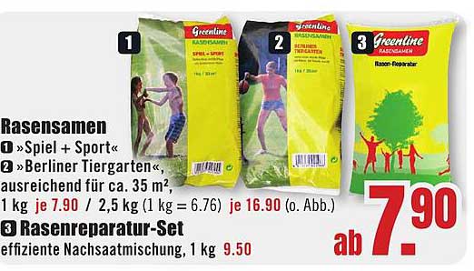 Rasensamen »Spiel + Sport«