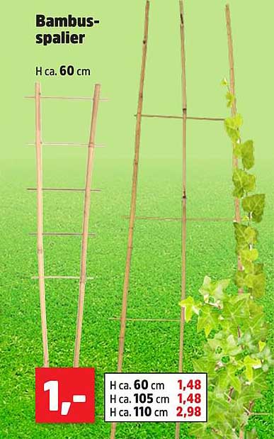 Bambus-Spalier für Gartenliebhaber