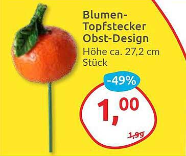 Blumen-Topfstecker Obst-Design