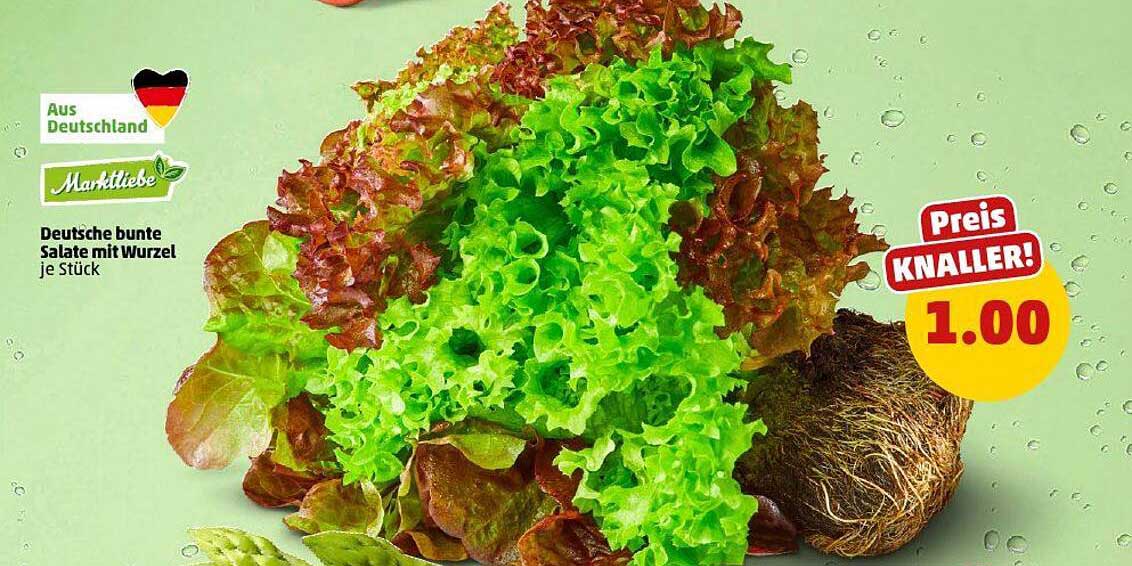Deutsche bunte Salate mit Wurzel je Stück
