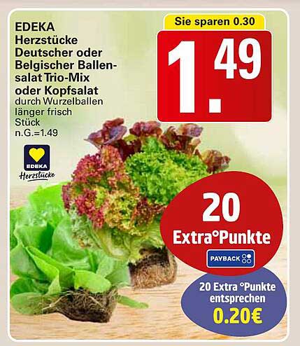 EDEKA Herzstücke Deutscher oder Belgischer Ballensalat Trio-Mix oder Kopfsalat