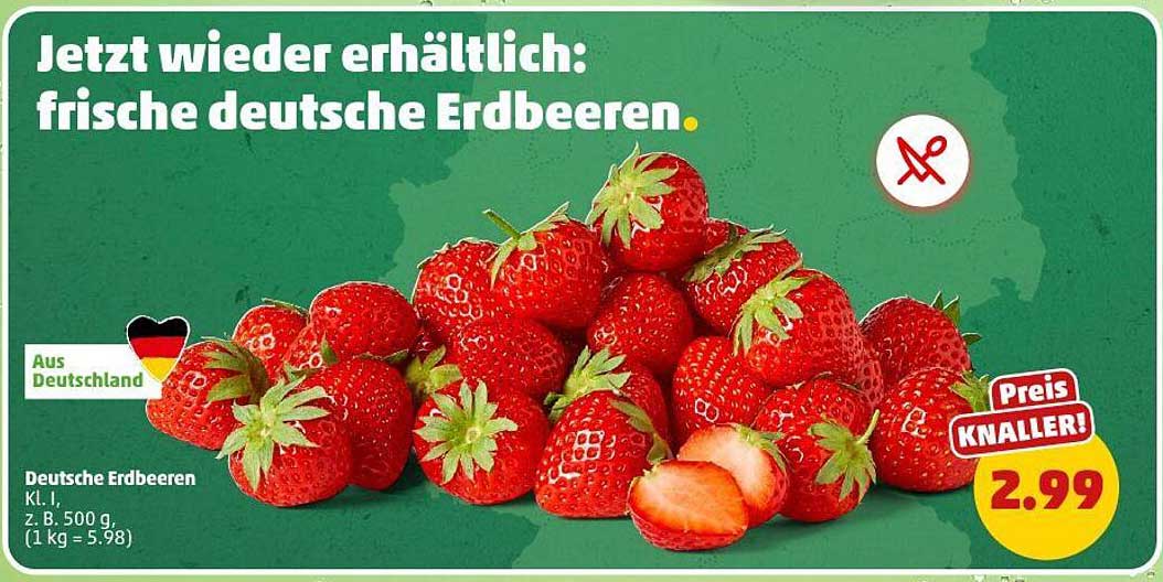 Frische deutsche Erdbeeren 500 g - Preis KNALLER!