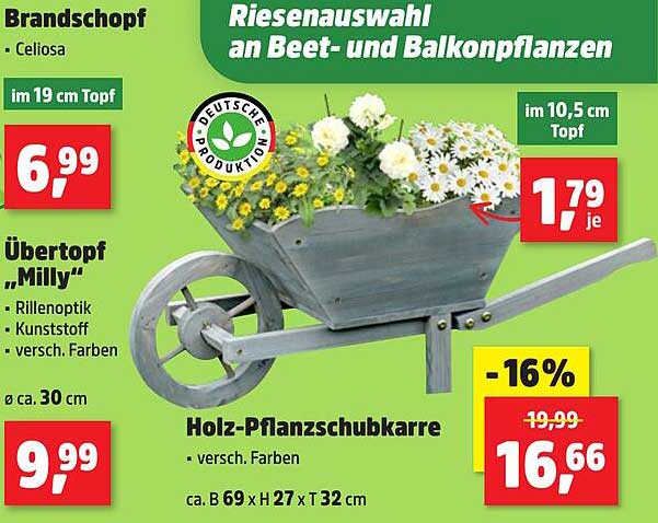 Holz-Pflanzschubkarre - verschieden Farben