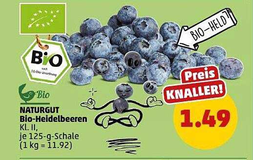 NATURGUT Bio-Heidelbeeren Kl. II, je 125-g-Schale