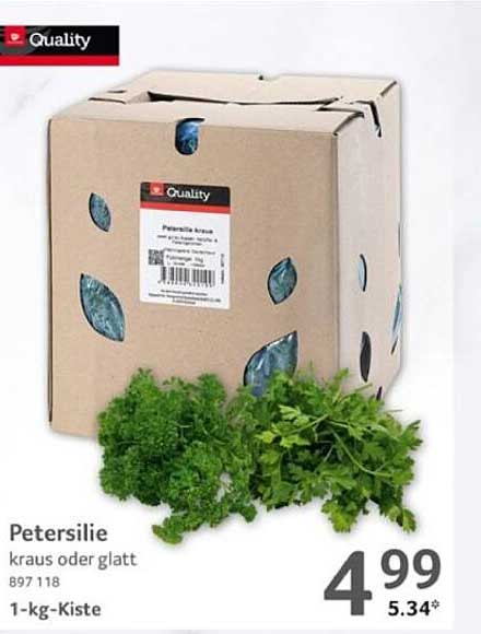 Petersilie kraus oder glatt - 1-kg-Kiste