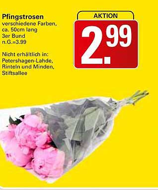 Pfingstrosen - verschiedene Farben, 3er Bund