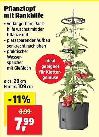 Pflanztopf mit Rankhilfe