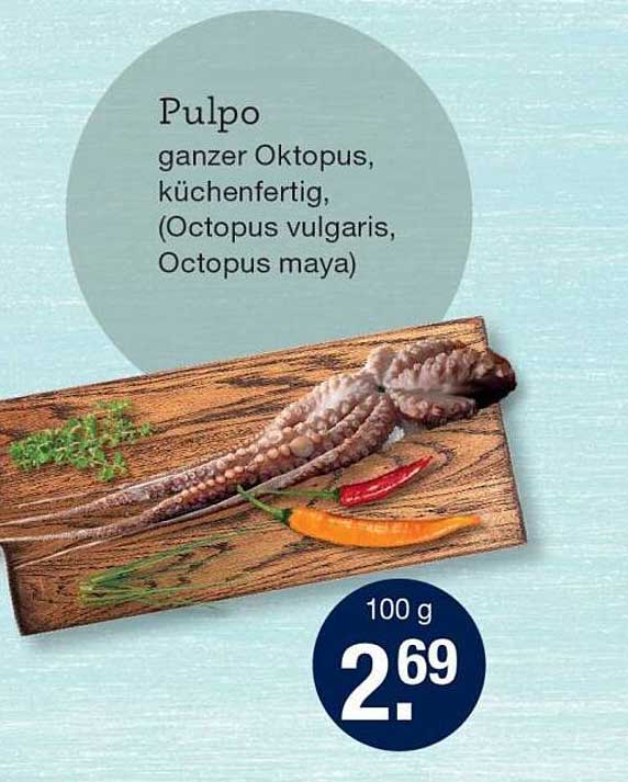 Pulpo – ganzer Oktopus, küchenfertig