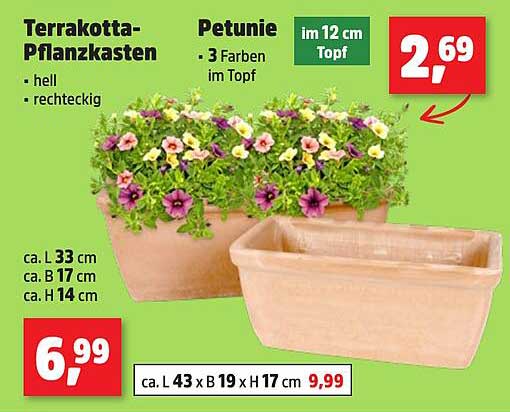 Terrakotta-Pflanzkasten