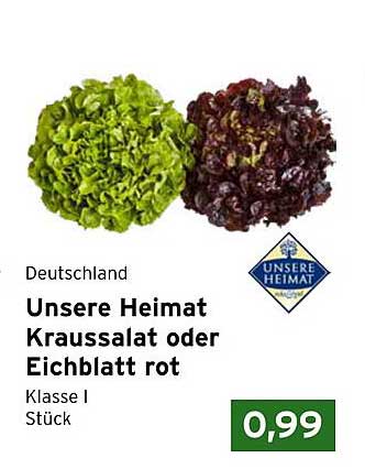 Unsere Heimat Kraussalat oder Eichblatt rot