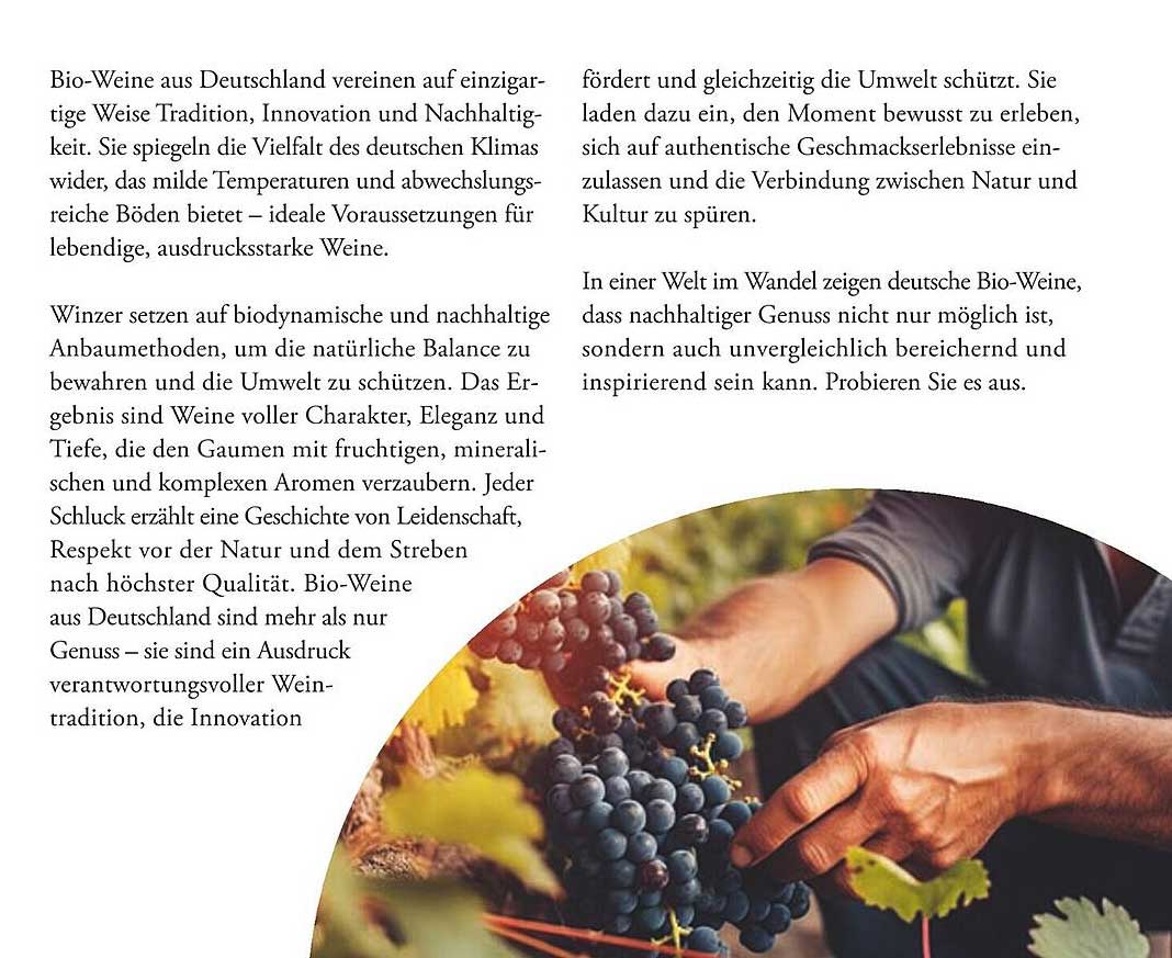Bio-Weine aus Deutschland - Tradition trifft Innovation