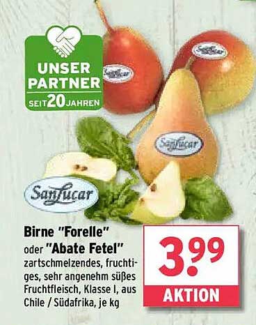 Birne "Forelle" oder "Abate Fetel" - zartschmelzend und fruchtig