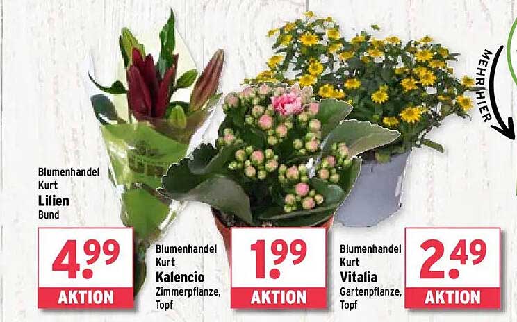 Blumenhandel Kurt: Lilien Bund für nur 4,99 €