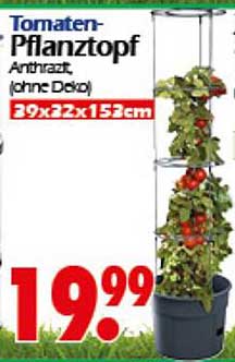 Tomaten-Pflanztopf Anthrazit 39x32x152cm (ohne Deko)