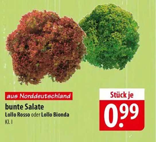 bunte Salate Lollo Rosso oder Lollo Bionda