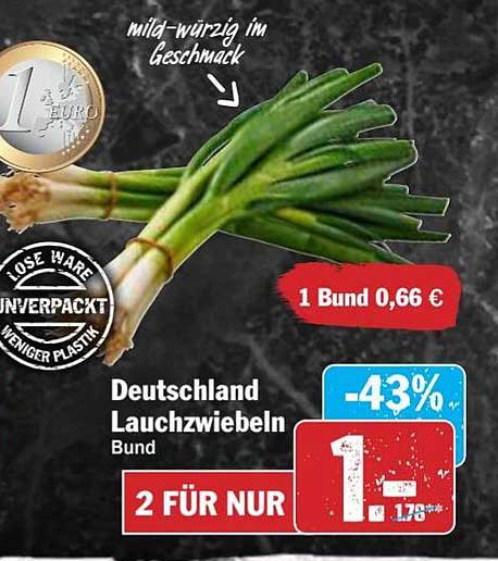 Deutschland Lauchzwiebeln Bund