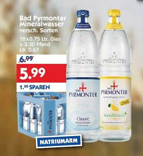 Bad Pyrmonter Mineralwasser 12 x 0,75 L