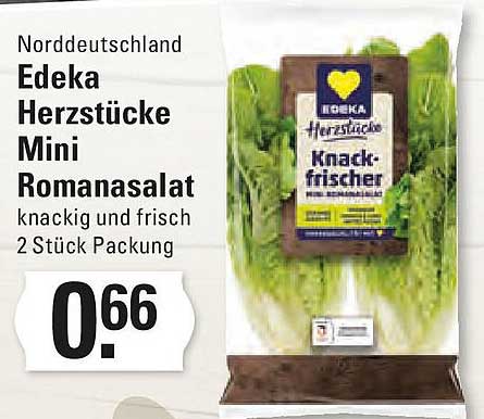 Edeka Herzstücke Mini Romanasalat – knackig und frisch, 2 Stück Packung