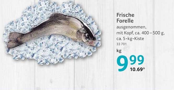 Frische Forelle ausgenommen, mit Kopf, ca. 400-500 g, ca. 5-kg-Kiste