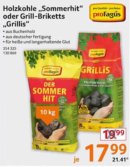 Holzkohle „Sommerhit“ oder Grill-Briketts „Grillis“