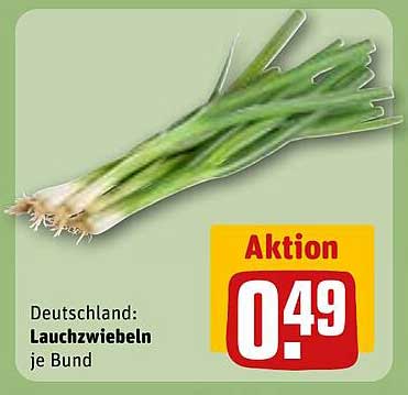 Lauchzwiebeln je Bund