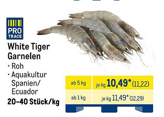 White Tiger Garnelen - Roh aus Aquakultur Spanien/Ecuador